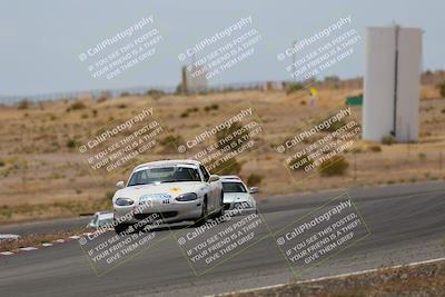 media/May-03-2025-Lucky Dog Racing (Sat) [[206de64b9d]]/Turn 6 (150pm-230pm)/